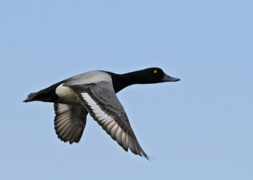 ����� � ������